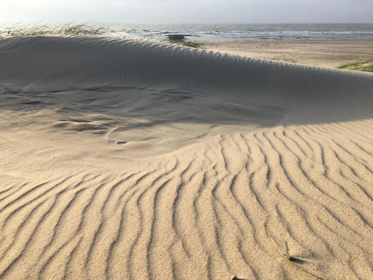 Fijne Studio Aan Zee Callantsoog Exteriér fotografie