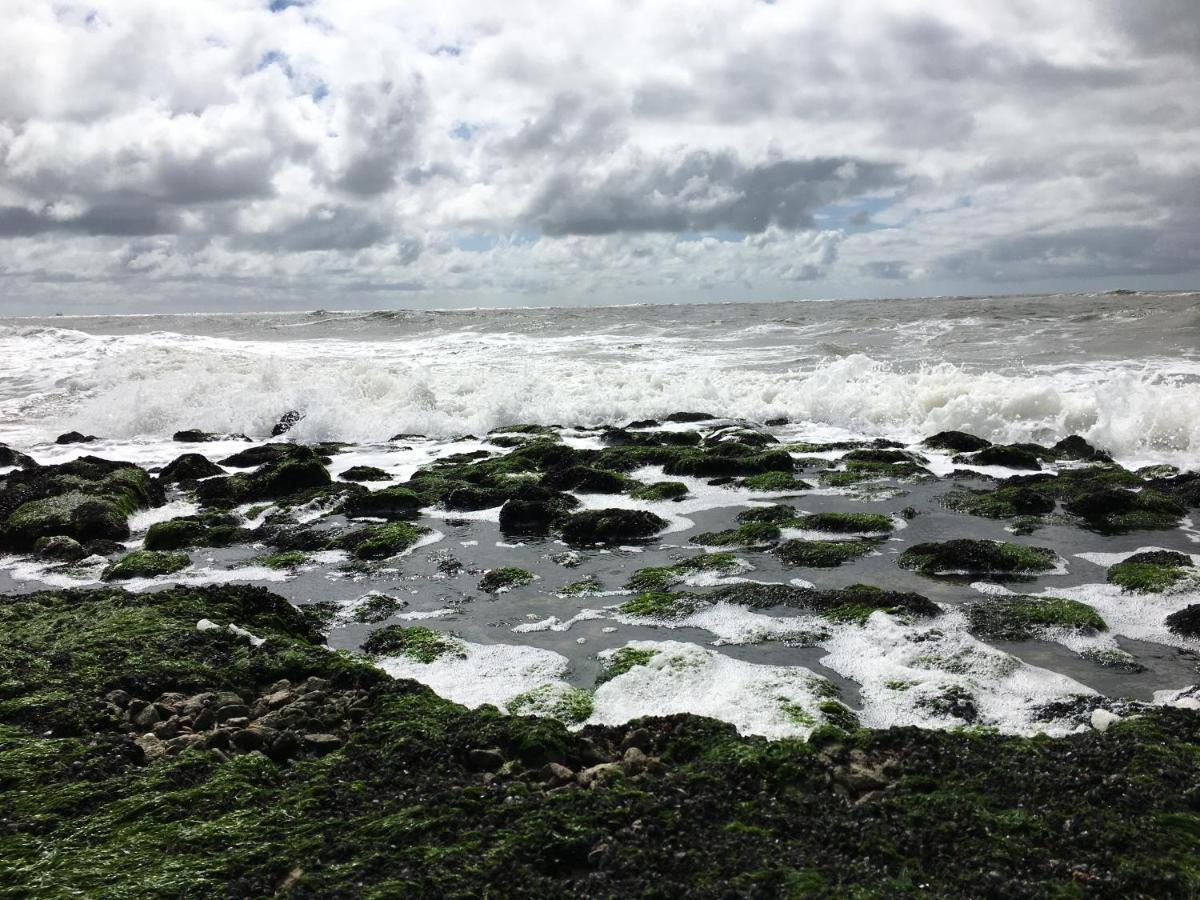 Fijne Studio Aan Zee Callantsoog Exteriér fotografie